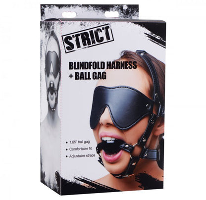 Kunstleren Masker Met Ball Gag