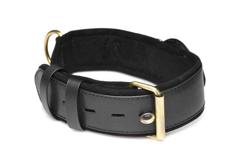 Tracking Halsband - Zwart