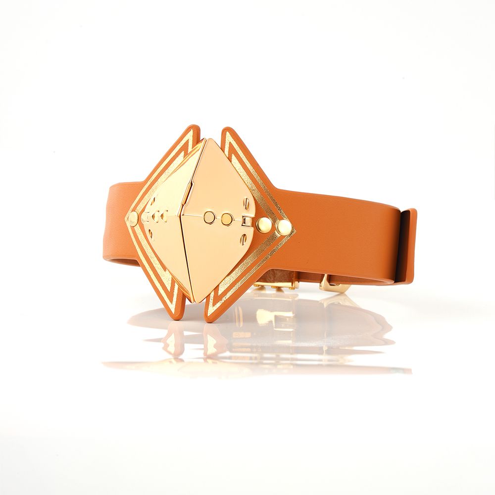 LOCKINK - Posture Luxe Collar en Lijn - bruin