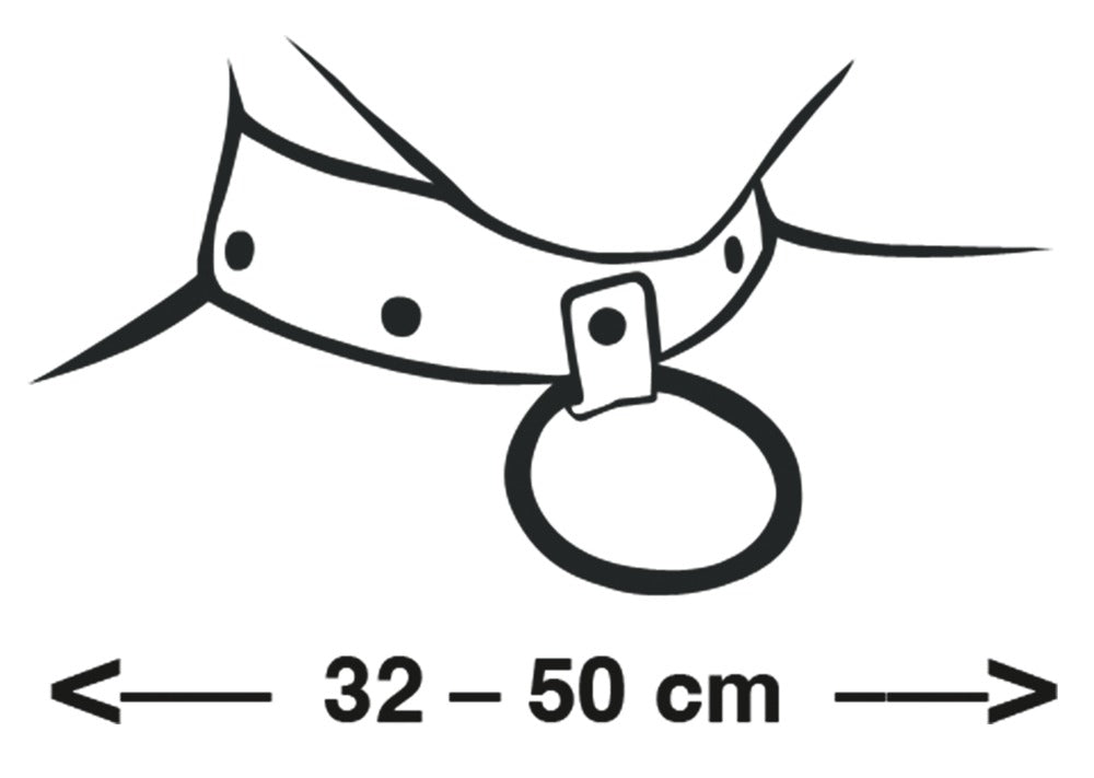 Leather Collar S-L