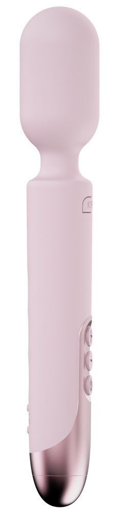 Kiiroo Pro Wand